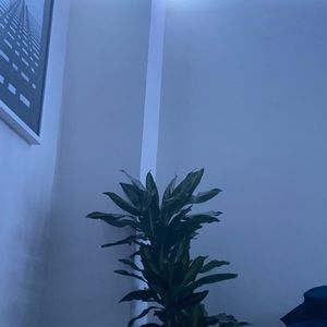 Meet your Posher, Milica